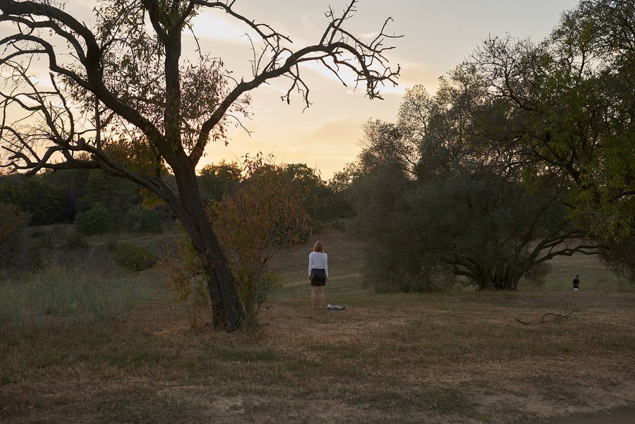 A distant figure walking among trees in warm evening light